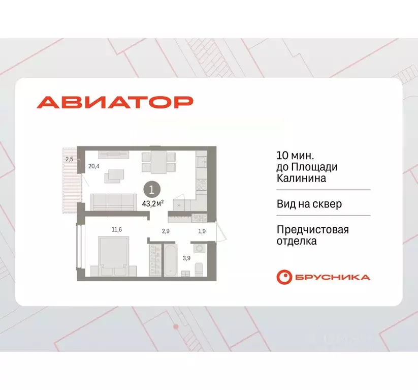 1-к кв. Новосибирская область, Новосибирск ул. Аэропорт, 88 (43.18 м) - Фото 0