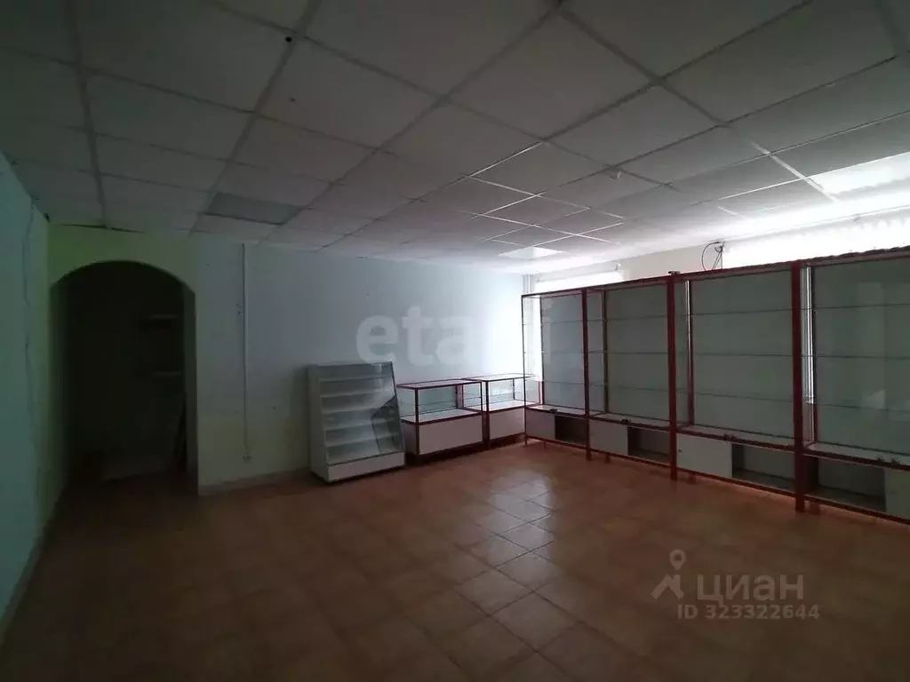 Помещение свободного назначения в Саратовская область, Петровск ул. ... - Фото 1