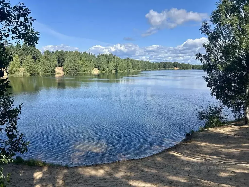 Участок в Ленинградская область, Сосновый Бор Звезда кп,  (12.0 сот.) - Фото 1
