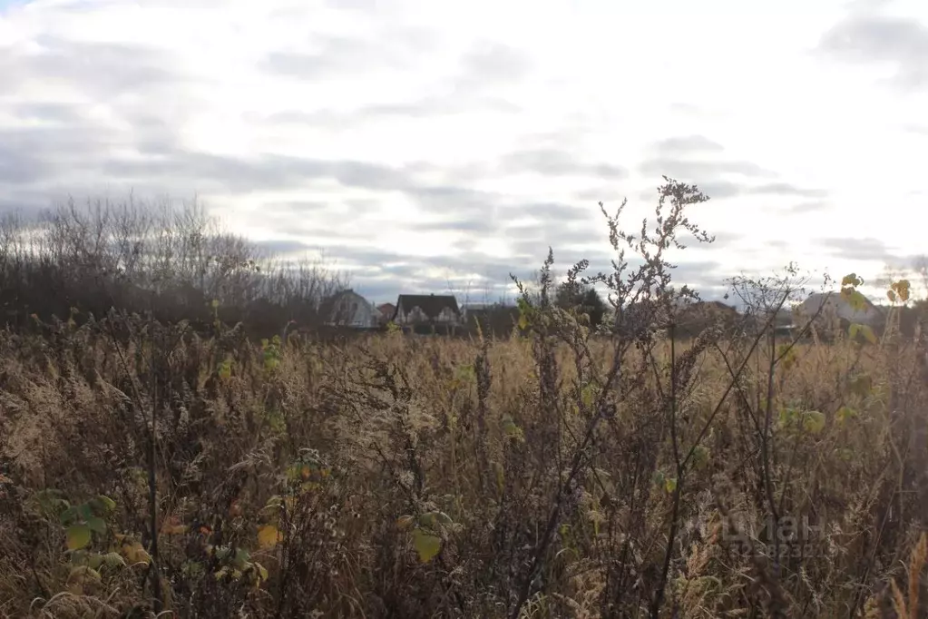 Участок в Москва д. Кузнецово, ул. Березовая (16.81 сот.) - Фото 2