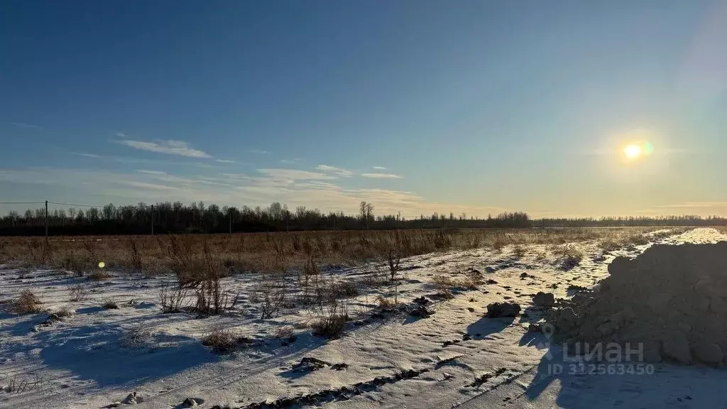 Участок в Тюменская область, Тюменский район, Горьковское ... - Фото 0