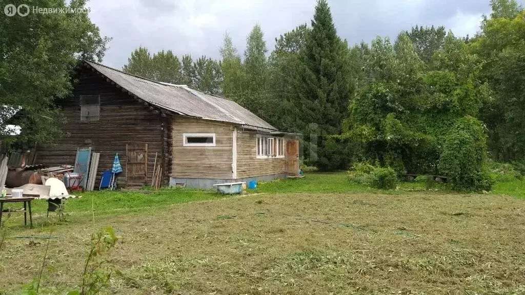 Дом в Вологодская область, Бабаевский муниципальный округ, деревня ... - Фото 2