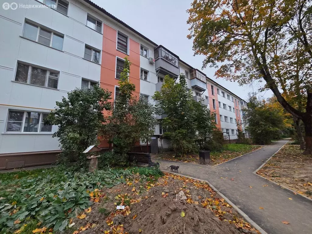 2-комнатная квартира: Молодёжный, 4 (42 м) - Фото 1