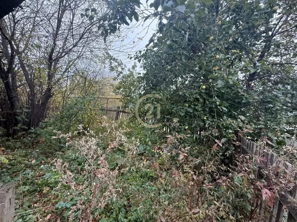 Дом в Тамбовская область, Тамбовский муниципальный округ, Новая Ляда ... - Фото 2