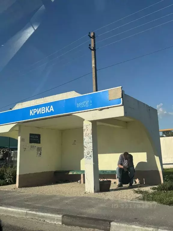 Дом в Липецкая область, Усманский район, с. Кривка ул. Мира, 9А (40 м) - Фото 1