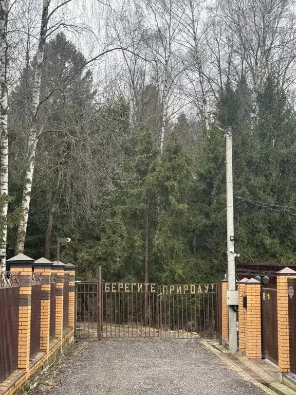Участок в Московская область, Пушкинский городской округ, Грибово СНТ ... - Фото 0