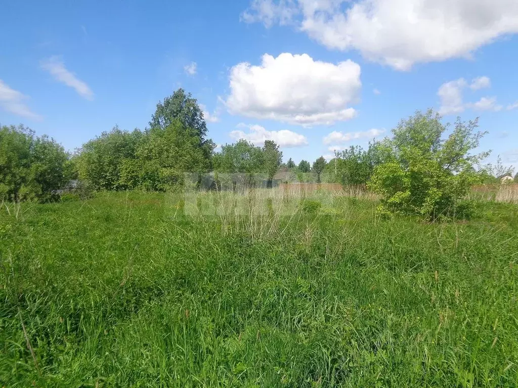 Участок в Вологодская область, Сокольский муниципальный округ, д. ... - Фото 2