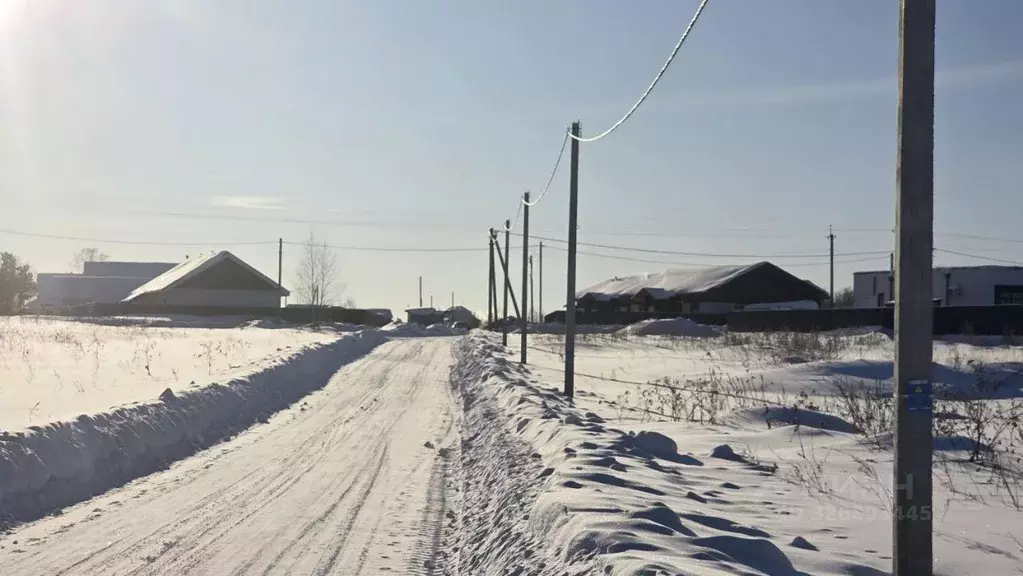 Участок в Томская область, Томский район, с. Кафтанчиково пер. ... - Фото 2