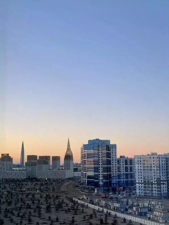 1-к кв. Санкт-Петербург просп. Крузенштерна, 4 (21.0 м) - Фото 0