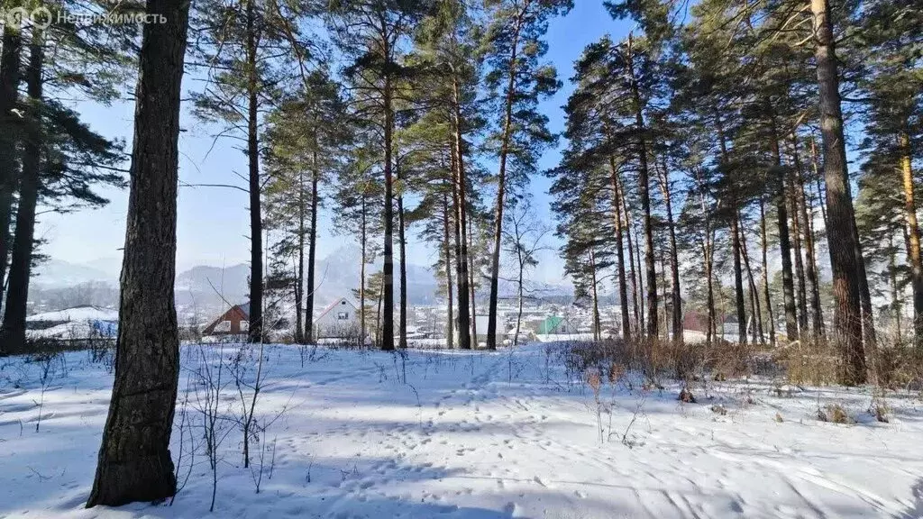Участок в Майминский район, село Манжерок (10 м) - Фото 2
