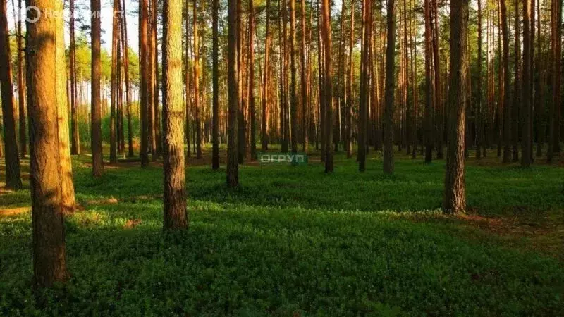 Участок в Богословка, Фабричная улица, 6 (15 м) - Фото 1