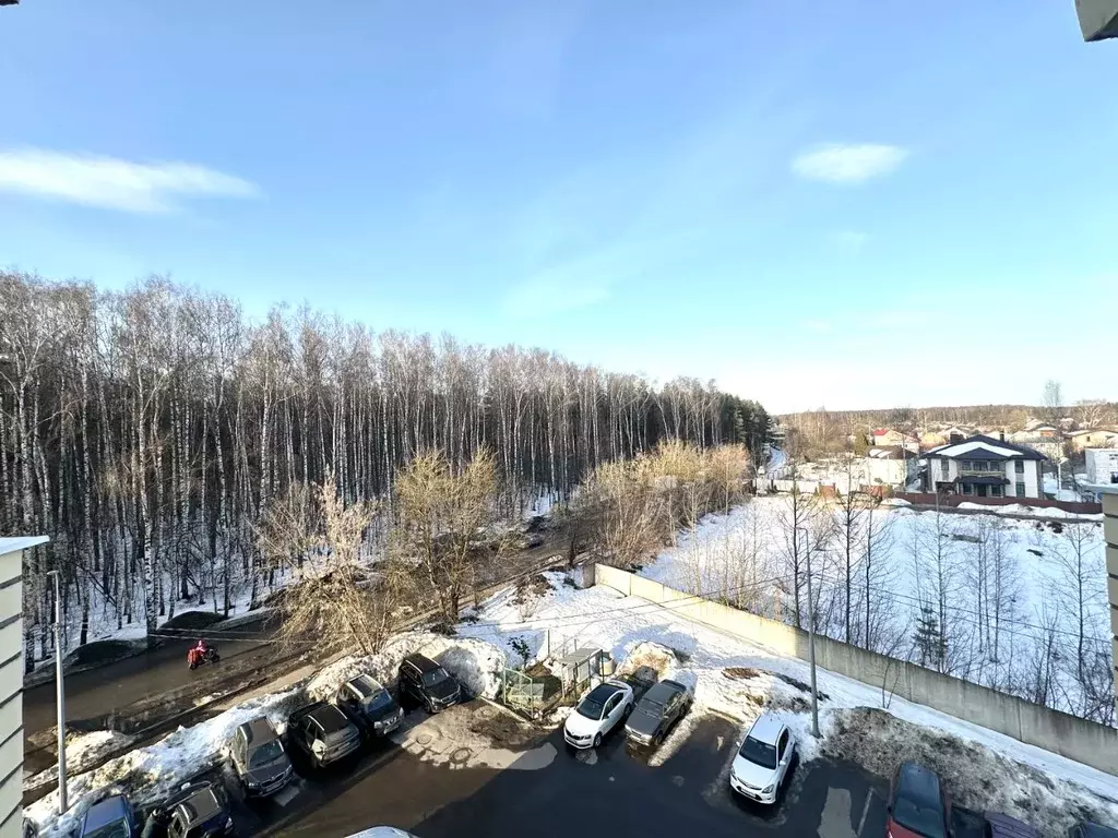 2-к кв. Московская область, Ногинск Богородский городской округ, ул. ... - Фото 1