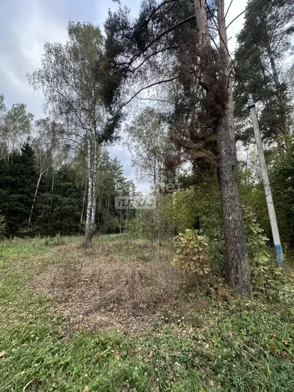 Участок в Московская область, Раменский муниципальный округ, Саврасово ... - Фото 1