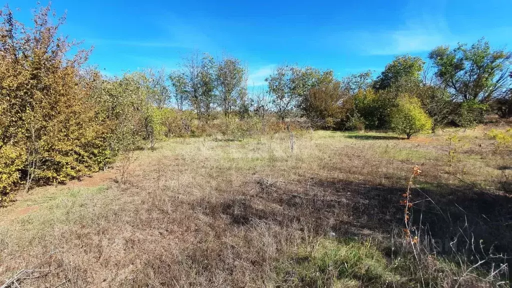Участок в Крым, Сакский район, Митяевское с/пос, Эскулап СНТ  (5.0 ... - Фото 1