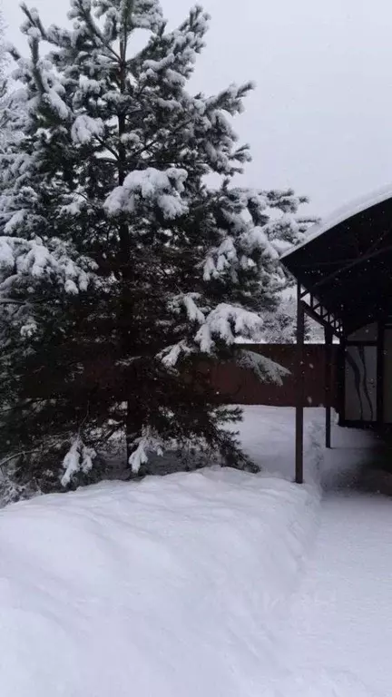 Дом в Московская область, Истра муниципальный округ, д. Еремеево ул. ... - Фото 2