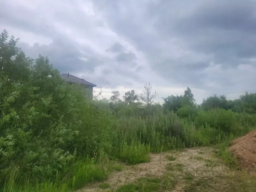 Участок в Амурская область, Благовещенск Лесная ул. (10.43 сот.) - Фото 1