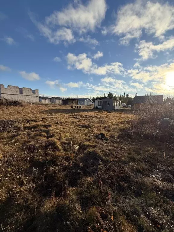 Дом в Карелия, Пряжинский район, пос. Чална ул. Радужная (32 м) - Фото 2