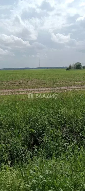 Участок в Калужская область, Боровский муниципальный округ, д. Фатеево ... - Фото 1