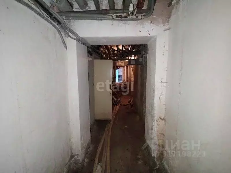 Помещение свободного назначения в Ханты-Мансийский АО, Сургут ... - Фото 0
