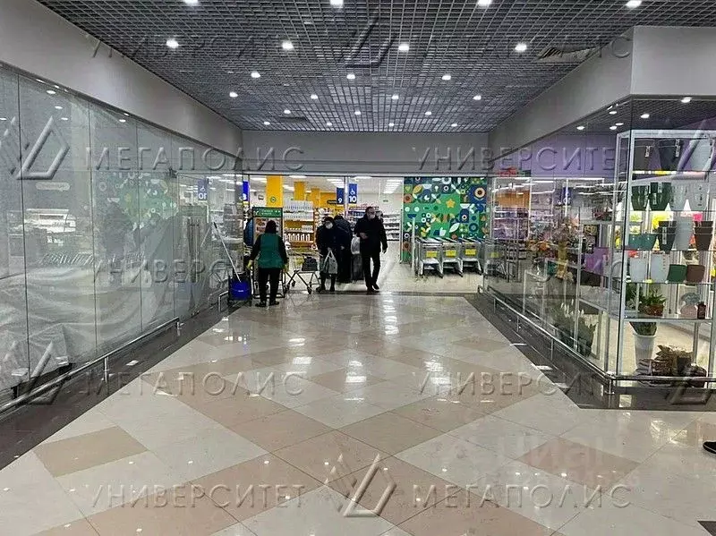 Помещение свободного назначения в Москва Филевский бул., 10 (280 м) - Фото 2