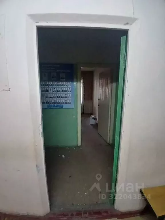 Помещение свободного назначения в Воронежская область, Воронеж ул. ... - Фото 0