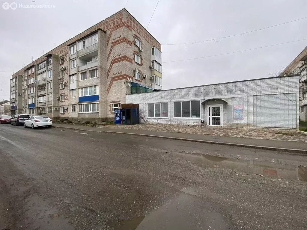 Помещение свободного назначения (263.4 м) - Фото 1