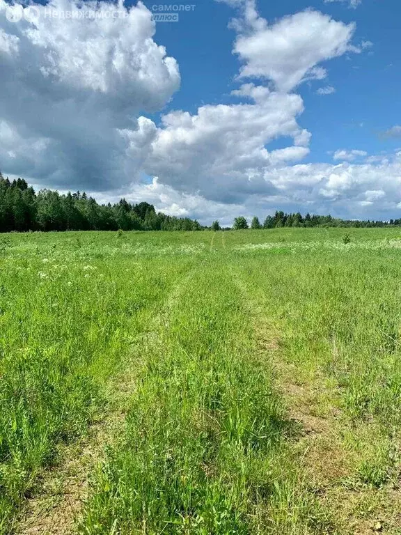 участок в валдайский район, едровское сельское поселение, село едрово . - Фото 1