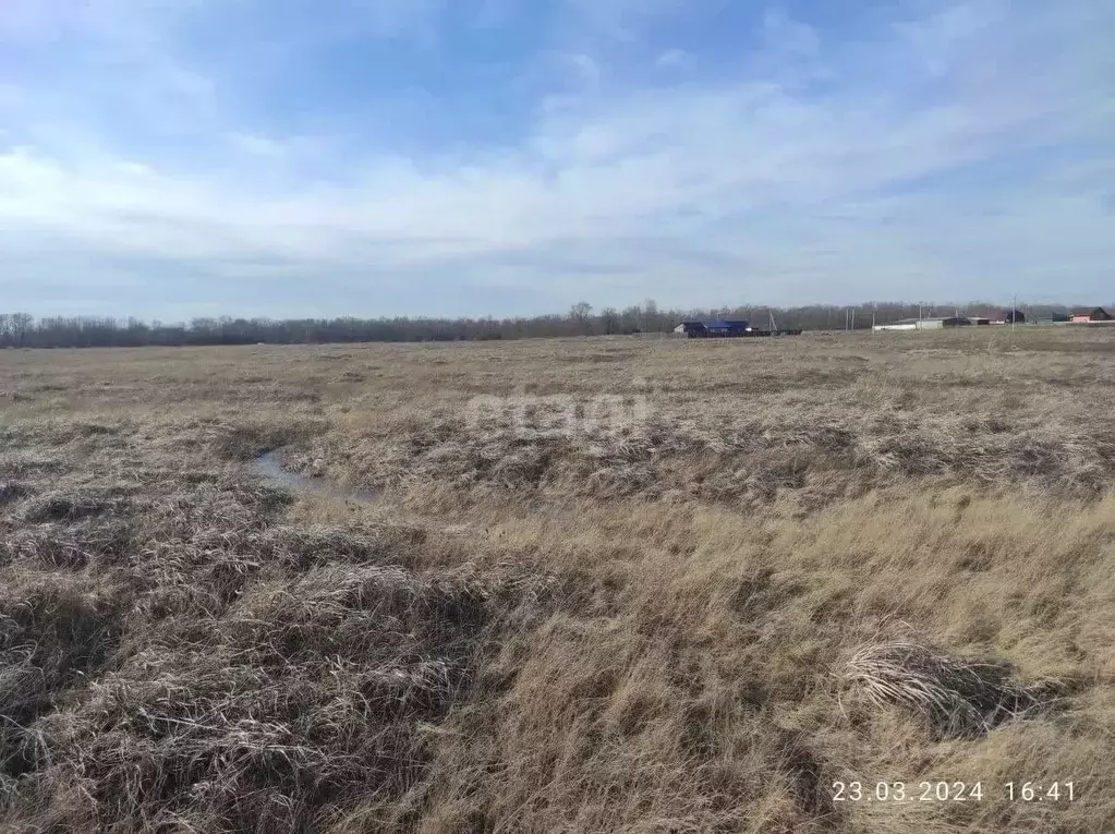 Участок в Хакасия, Алтайский район, д. Кайбалы ул. Туманная (10.2 ... - Фото 1