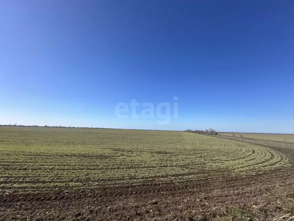 Участок в Крым, Сакский район, Штормовское с/пос, с. Хуторок  (879.54 ... - Фото 1