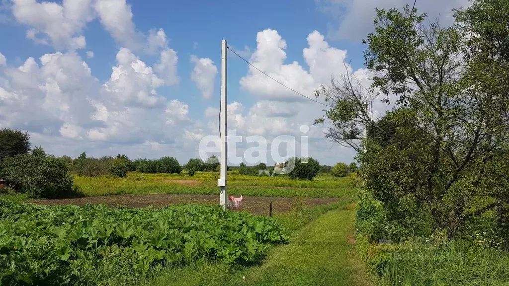 Участок в Брянская область, Выгоничский район, Кокинское с/пос, с. ... - Фото 1