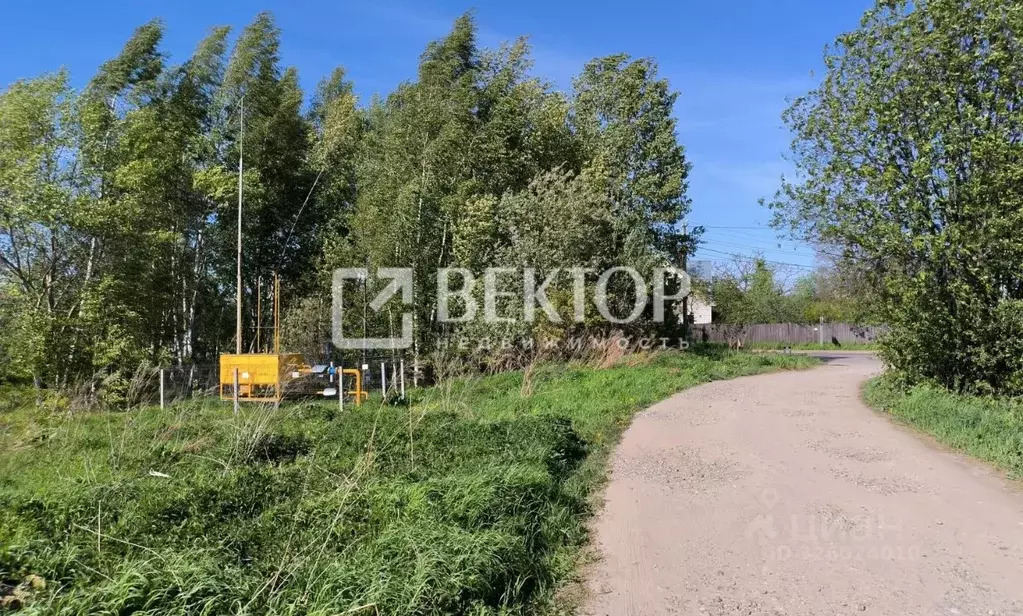 Участок в Костромская область, Костромской район, Бакшеевское с/пос, ... - Фото 2