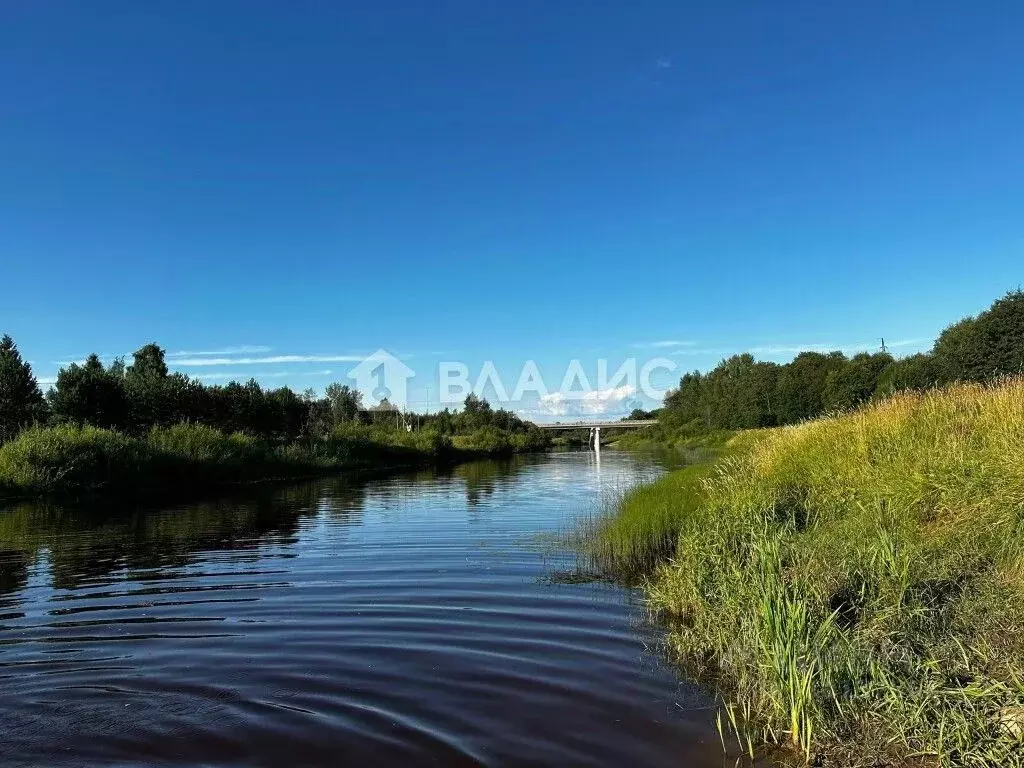 Участок в Вологодская область, д. Марфино  (14.0 сот.) - Фото 0