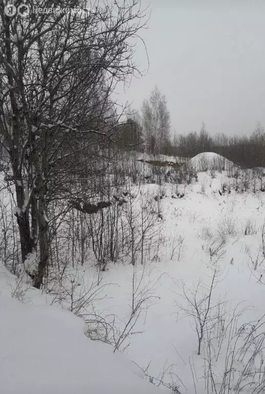 Участок в Иркутский муниципальный округ, Александровский тракт, 5-й ... - Фото 1