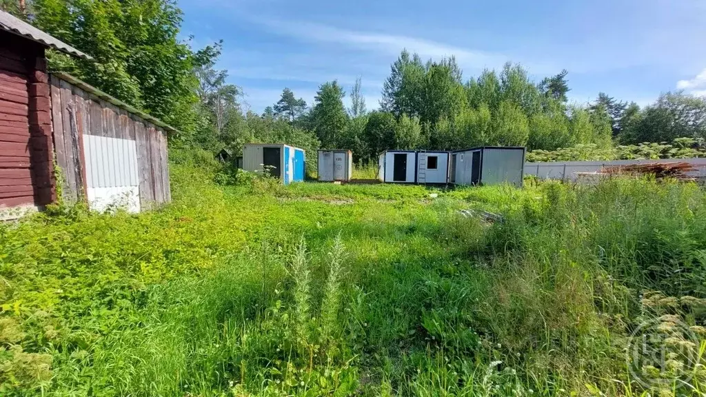 Участок в Ленинградская область, Выборгский район, Приморское ... - Фото 1