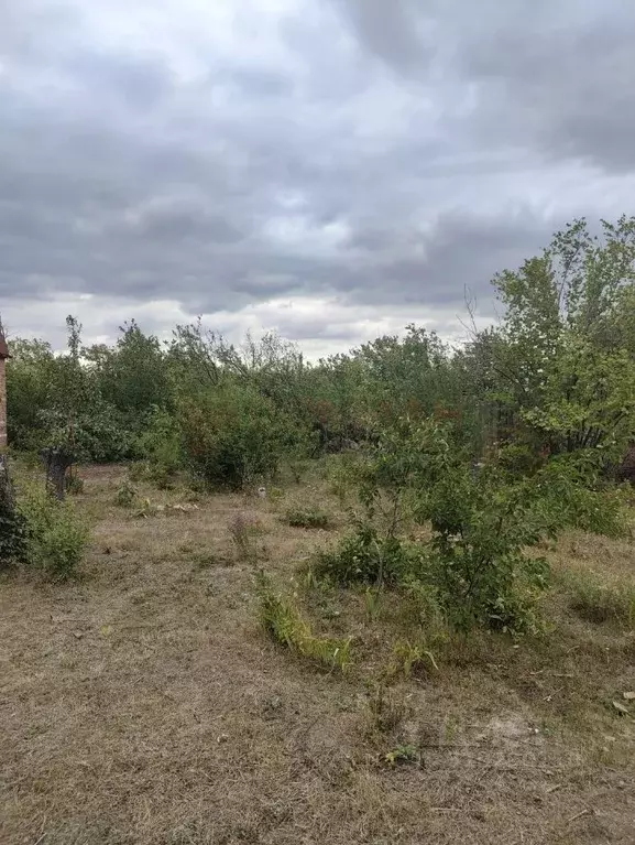 Участок в Ростовская область, Новочеркасск № 16 садовое товарищество, ... - Фото 0
