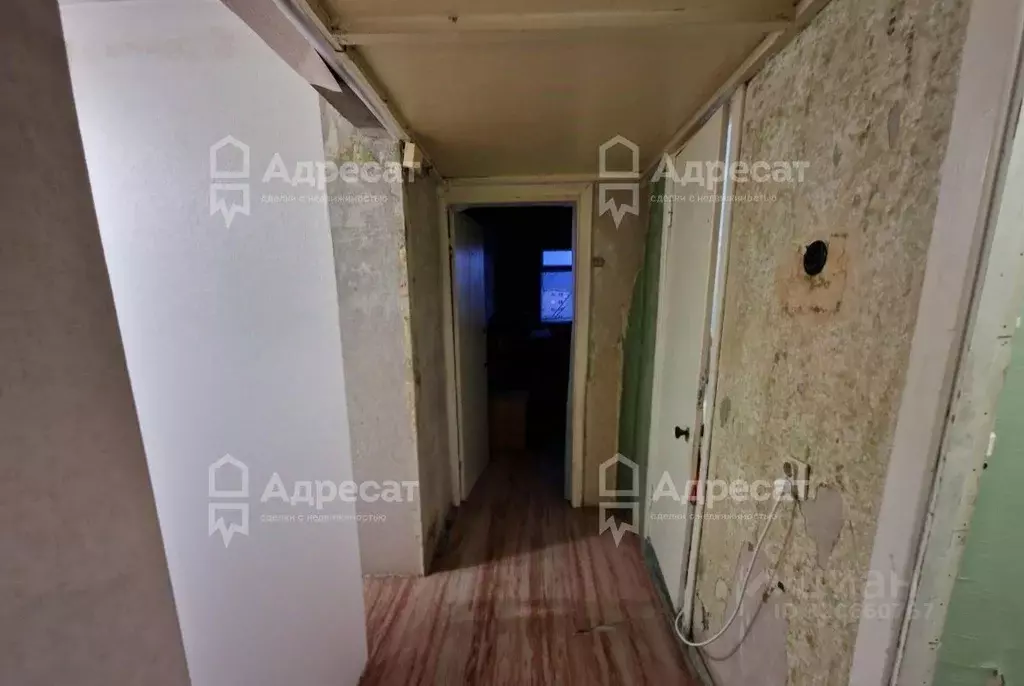 Комната Волгоградская область, Волгоград ул. Генерала Штеменко, 41 ... - Фото 1