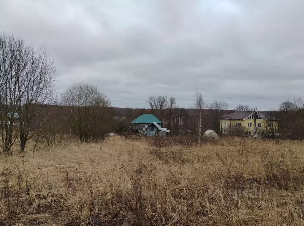 Участок в Московская область, Чехов муниципальный округ, д. Хлевино 48 ... - Фото 0