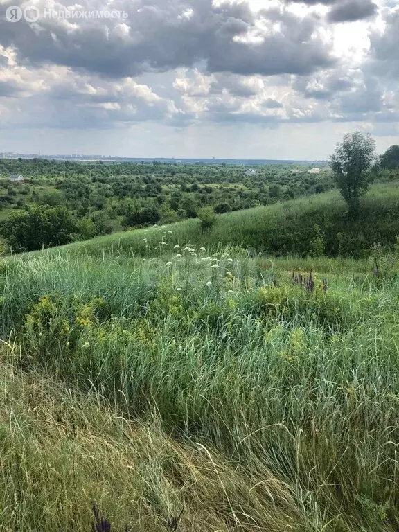 Участок в Воронежская область, село Семилуки (100 м) - Фото 1