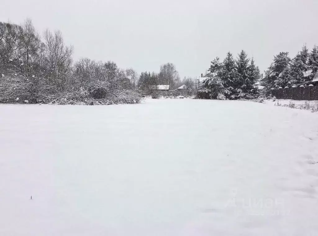 Участок в Московская область, Орехово-Зуевский городской округ, д. ... - Фото 2