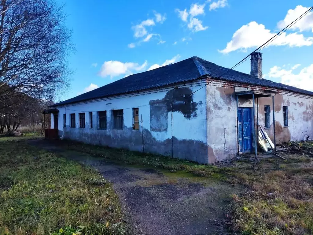 Помещение свободного назначения в Ленинградская область, Волосовский ... - Фото 1