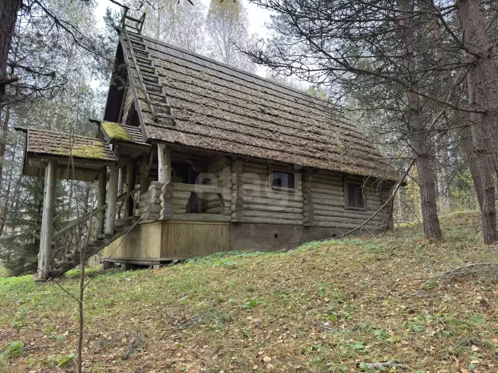 Дом в Псковская область, Себежское с/пос, д. Угаринка  (87 м) - Фото 2