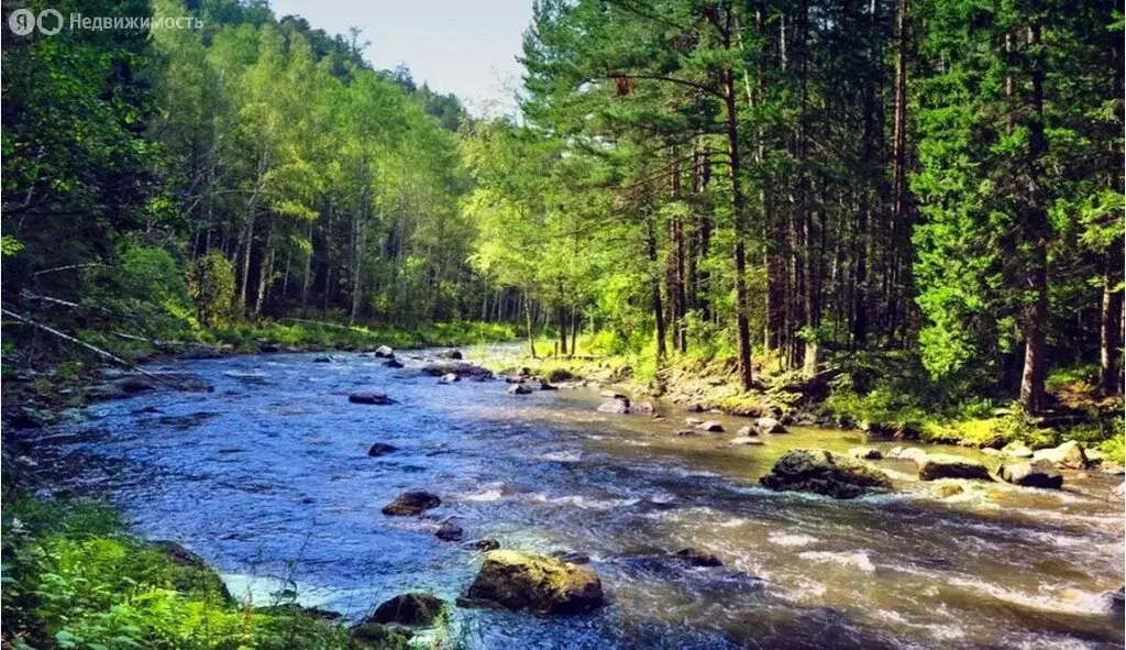 Участок в Чемальский район, село Куюс (1.3 м) - Фото 1