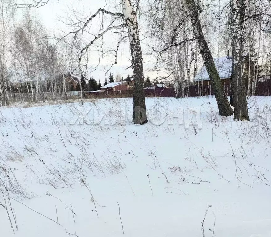 Участок в Новосибирская область, Новосибирский район, с. Боровое ул. ... - Фото 2