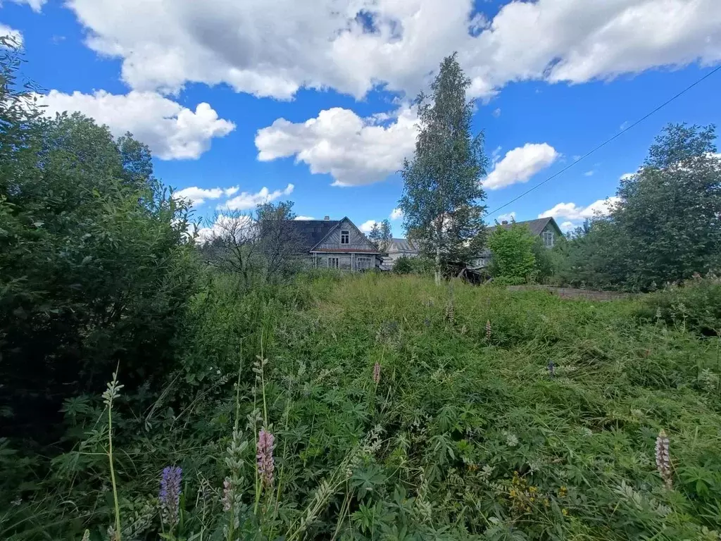 Участок в Ленинградская область, Гатчинский район, Вырица городской ... - Фото 0