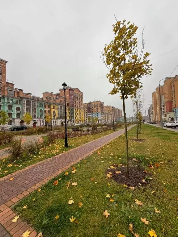 1-к кв. Московская область, Красногорск городской округ, Сабурово пгт ... - Фото 2