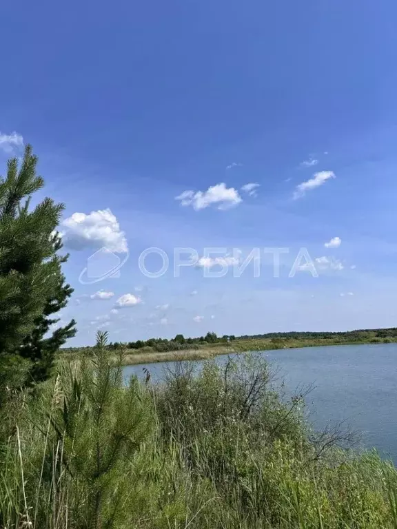 Участок в Тюменская область, Тюмень Велижанский тракт, 7-й км (5.64 ... - Фото 1