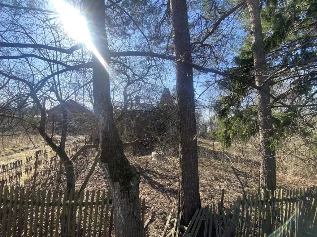 Участок в Санкт-Петербург, Санкт-Петербург, Ломоносов Павловский ... - Фото 2