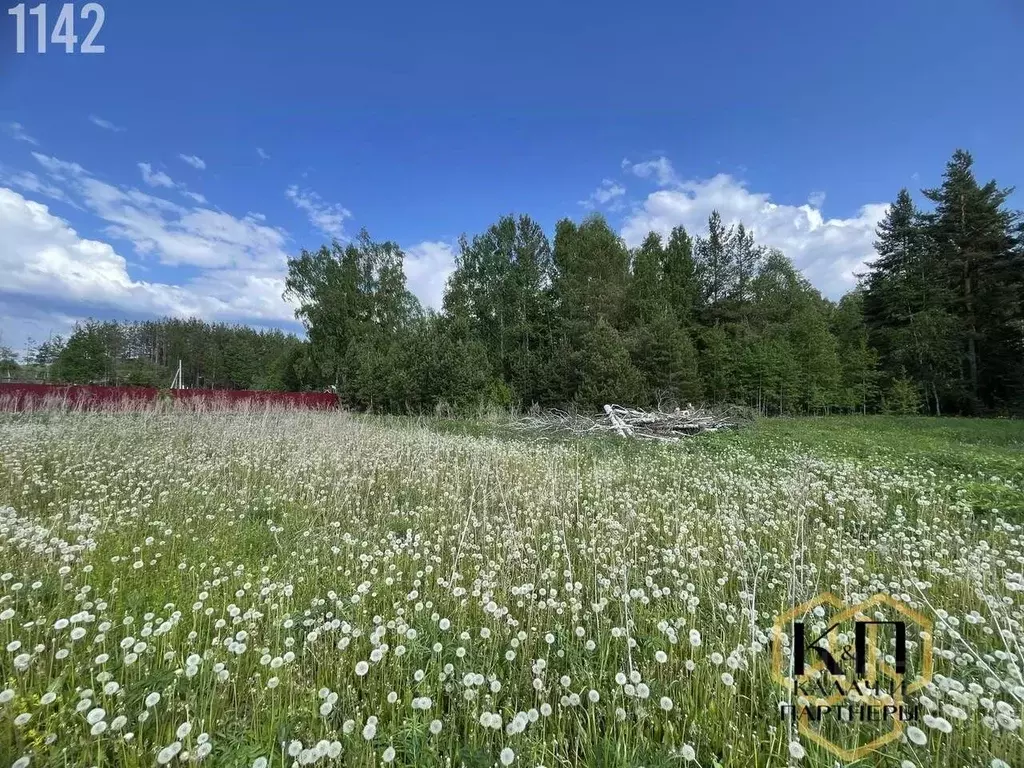Участок в Свердловская область, Полевской городской округ, с. Косой ... - Фото 2