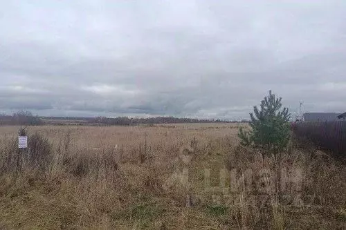 Участок в Новгородская область, Новгородский район, Ракомское с/пос, ... - Фото 2