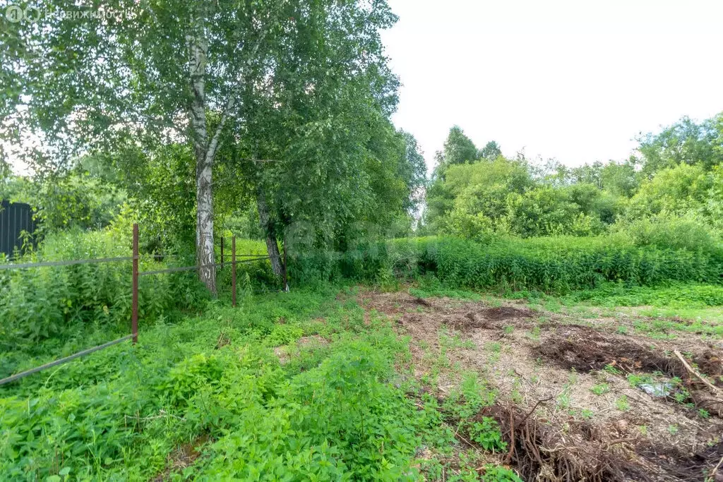 Участок в Нижнетавдинский район, СТ Фортуна, 4-я улица (10 м) - Фото 1